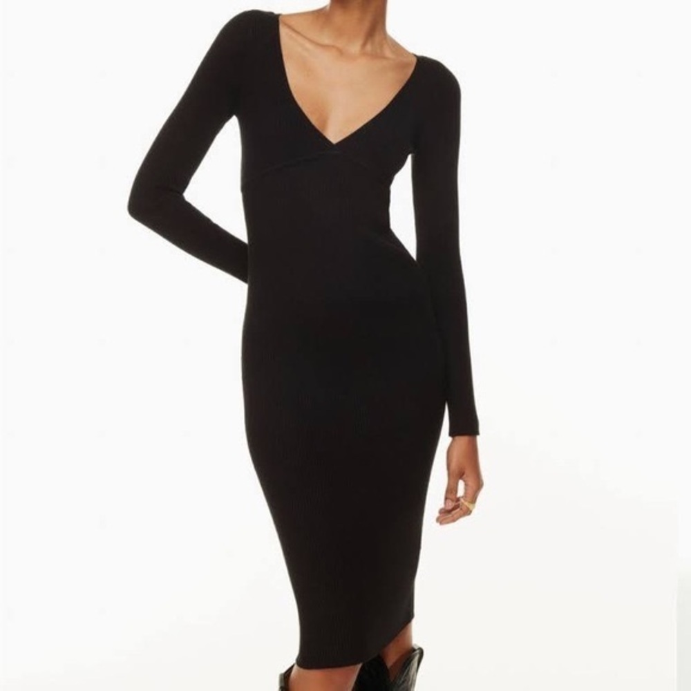Aritzia Wilfred Gabrielle Dress